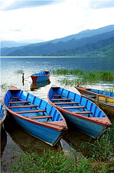 hinh anh phim ban tinh ca mua dong